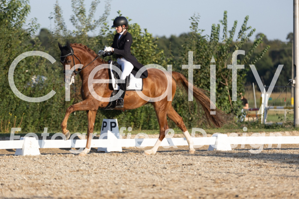 IMG_1391 | Creatify Fotografie