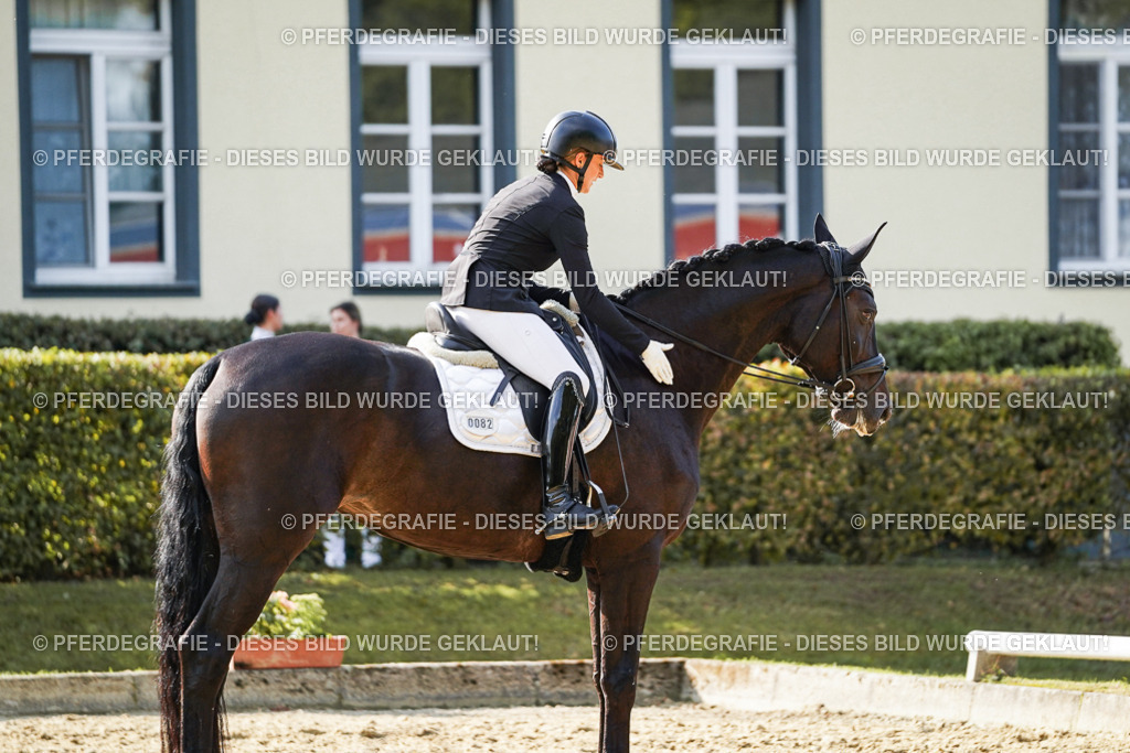 DSC05652 | Pferdegrafie