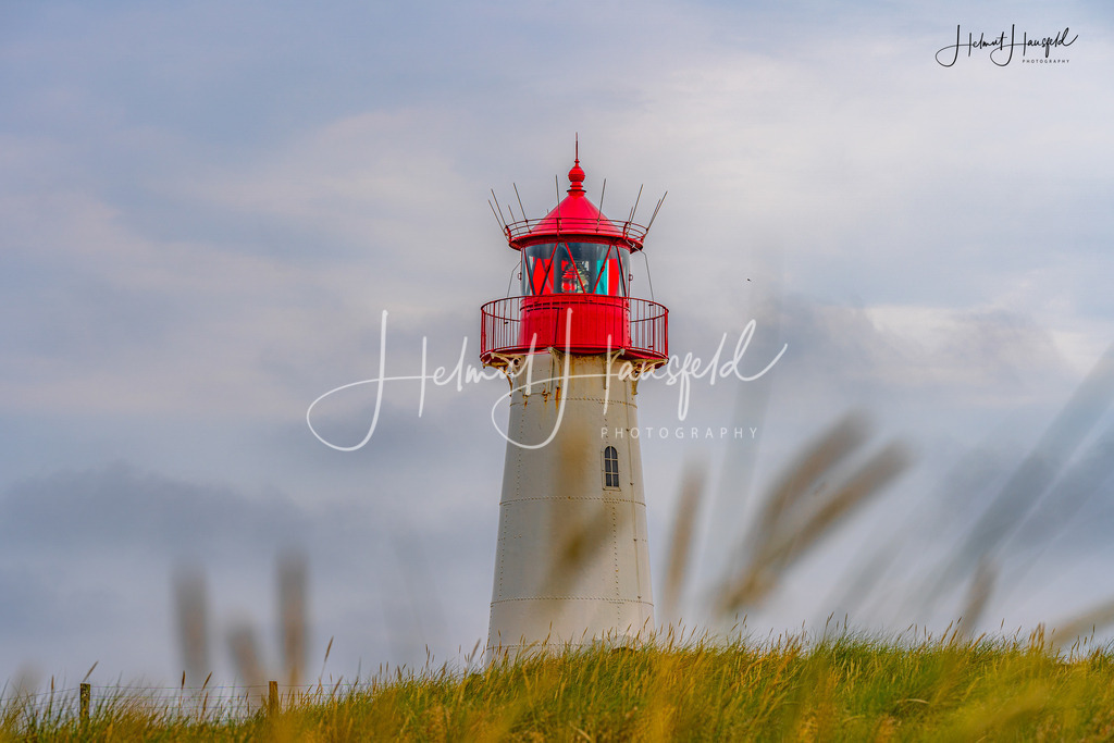 DSC00771 | Landschaftsfotografie, Naturfotografie - Realisiert mit Pictrs.com