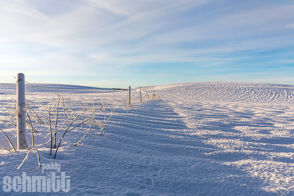 PS-Winter-2026-45 | Entdecke die größte Bildgalerie der Region mit Fotografien aus dem Allgäu, der Bodenseeregion, Oberschwaben, dem Donautal und der Schwäbischen Alb. Landschaften, Luftaufnahmen und Reisefotografie als Wandbild und Fotokunst. - Realisiert mit Pictrs.com