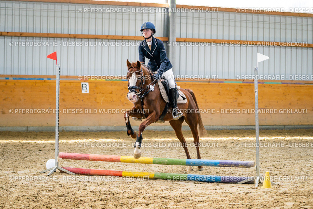 DSC02049 | Pferdegrafie