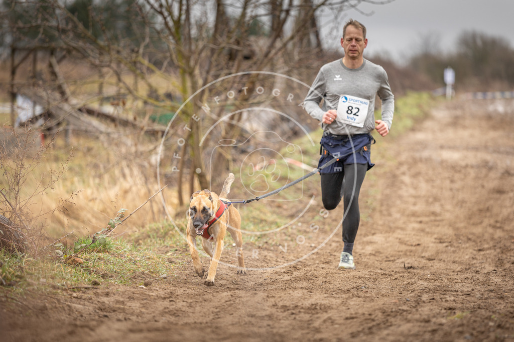 DV3A9886 | Hundefotografie, Tierfotograf, Pfotenfotografie, Fotoshooting Hund, Hunde Portrait, Hundesport, Hundeportraits, Heideshooting, Hunde, Sportfotograf, Hundefotograf, Turnierhundsport, THS,  - Realisiert mit Pictrs.com