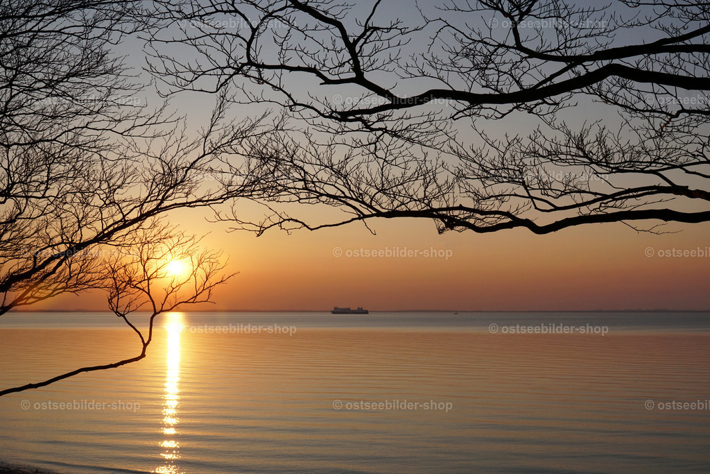 Spiegelglatte Lübecker Bucht mit Sonnenuntergang | Von einem bewaldeten Ufer aus geht der Blick über die Ostsee zum Horizont. Zweige im Vordergrund scheinen die Abendsonne über das spiegelglatte Wasser zu tragen.
