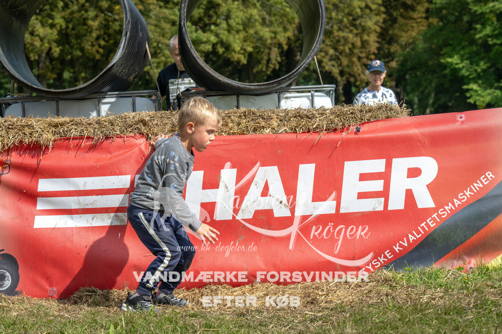 1341_ZZ94279 | kk-dogfotos