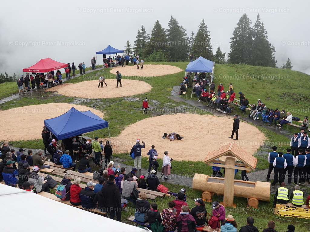 DSC07836 | Schwingen - Realisiert mit Pictrs.com