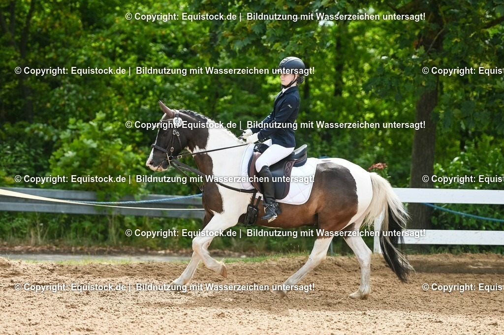 20230716_10-2_Reiter-WB Schritt - Trab - Galopp_0175 | equistock