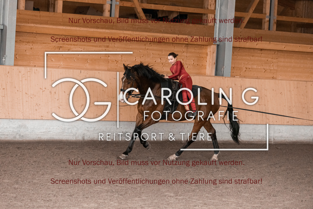 DSC_2051 | Turnierfotografin Carolin Gieschke,Reitsport Turnierfotografie Carolin G Fotografie | Turnierfotos aus Kirchheim/Teck, Esslingen, Stuttgart und dem Bodenseekreis