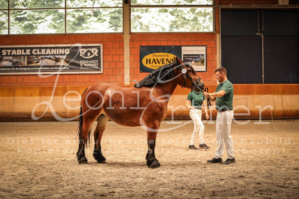 SaFL00133 | Leoni Ertmer Photography - Realisiert mit Pictrs.com