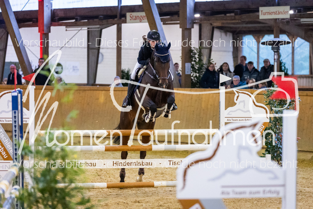 Sth-L-Springen-069 | MomenTaufnahmen Pferdesportfotos