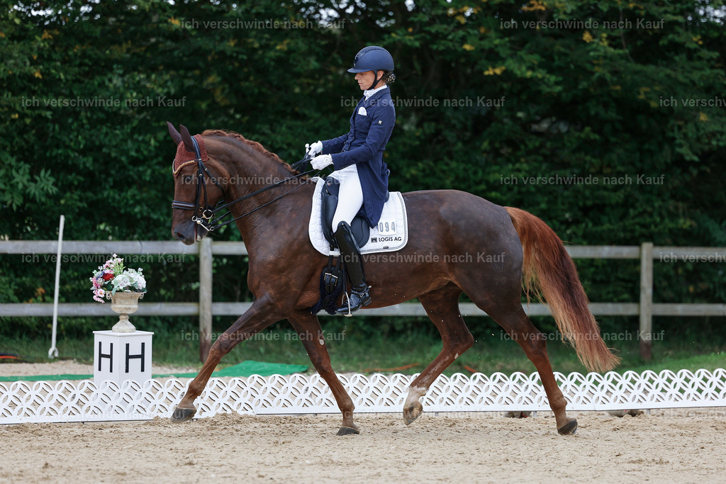 8_1-094-Klasse S_  -StoibPH-3846 | working equitationturnier fotograf videograf stoibphotography marixx film working equitation deutschland reitsport turnierfotografie eventfotografie equestrian events