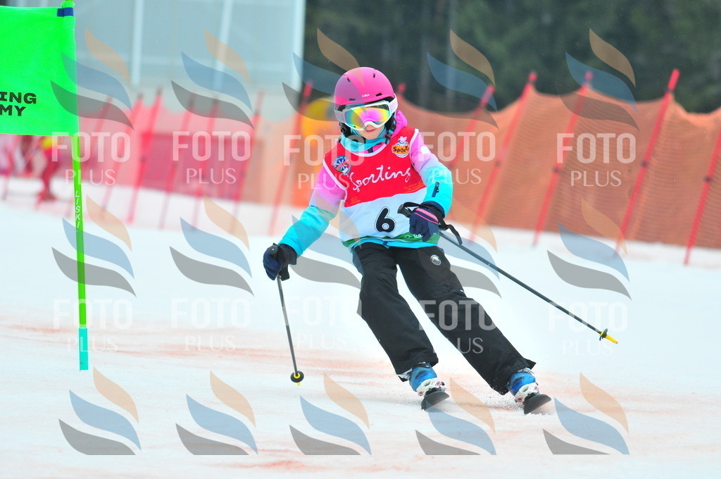 C0434 | holidayphoto