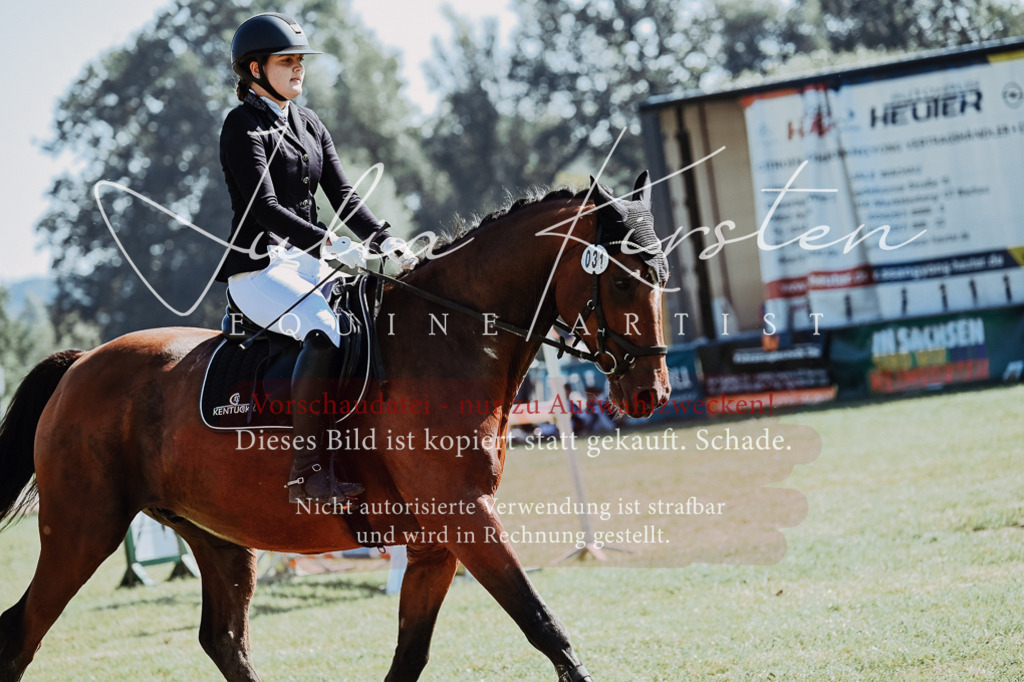 DSC_5536 | Pferde- und Turnierfotografie in Westsachsen. Pferdeportraits, Auftragszeichnungen und intuitive Kunst.