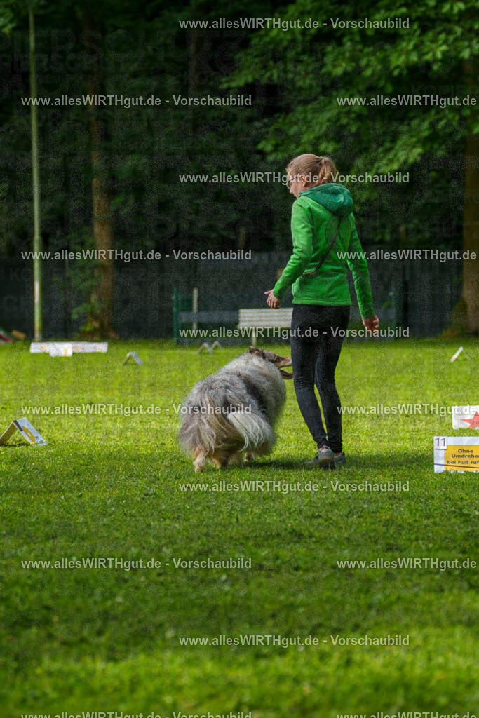 @allesWIRTHgut_Tierfotografie - www.allesWIRTHgut.de - 7R502154 | Professionelle Tierfotografie in Mönchengladbach von Daniel Wirth (allesWIRTHgut). Liebevolle & natürliche Bilder von Hunden & Katzen für unvergessliche Erinnerungen.
