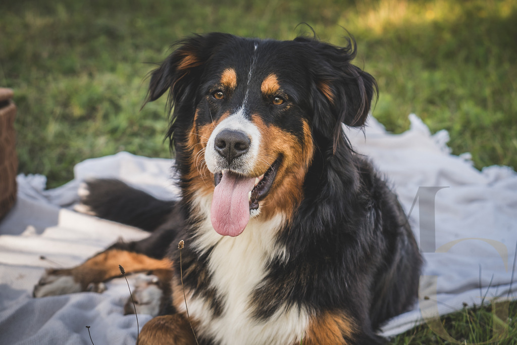 MGFoto-0002 | Newborn - Realisiert mit Pictrs.com