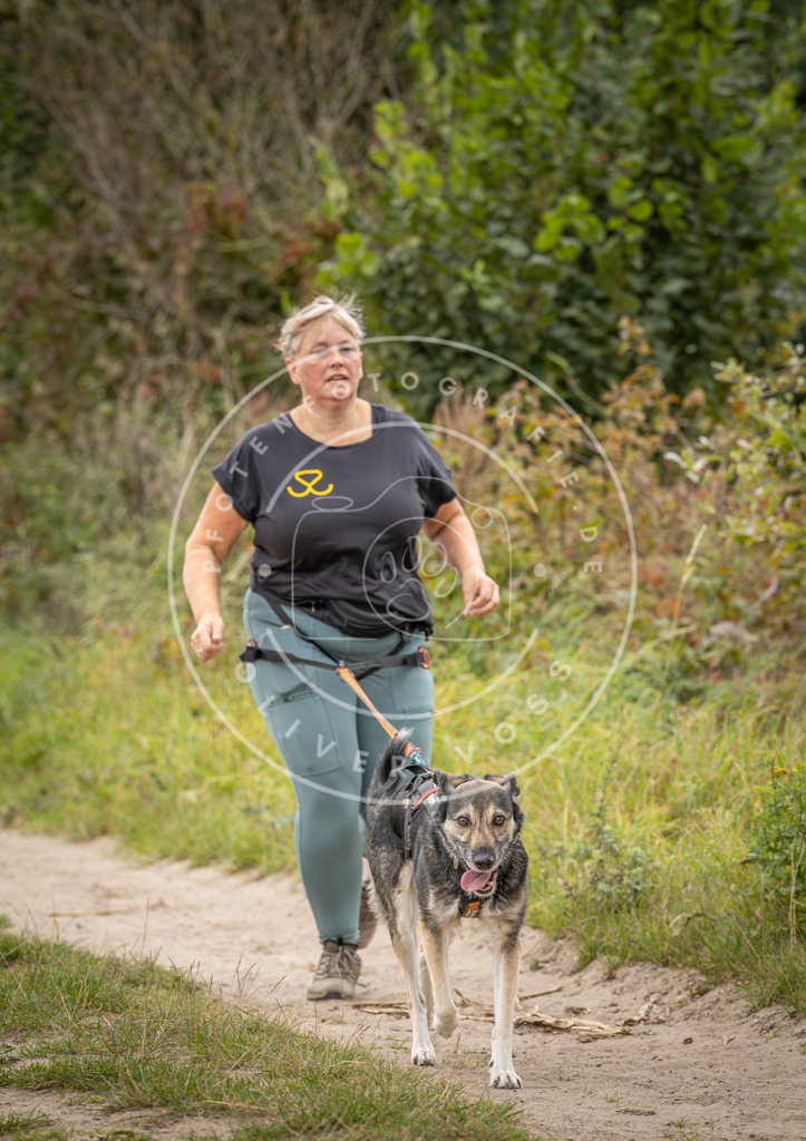 Pfotenfotografie_DV3A6393 | Hundefotografie, Tierfotograf, Pfotenfotografie, Fotoshooting Hund, Hunde Portrait, Hundesport, Hundeportraits, Heideshooting, Hunde, Sportfotograf, Hundefotograf, Turnierhundsport, THS,  - Realisiert mit Pictrs.com