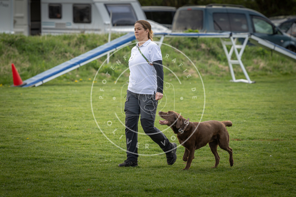 Pfotenfotografie_DV3A4942 | Hundefotografie, Tierfotograf, Pfotenfotografie, Fotoshooting Hund, Hunde Portrait, Hundesport, Hundeportraits, Heideshooting, Hunde, Sportfotograf, Hundefotograf, Turnierhundsport, THS,  - Realisiert mit Pictrs.com
