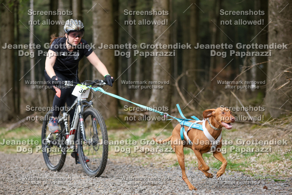 Dog Paparazzi - VCC26-585 | Dog Paparazzi Jeanette Grottendiek Fotografie & Videografie - Realisiert mit Pictrs.com