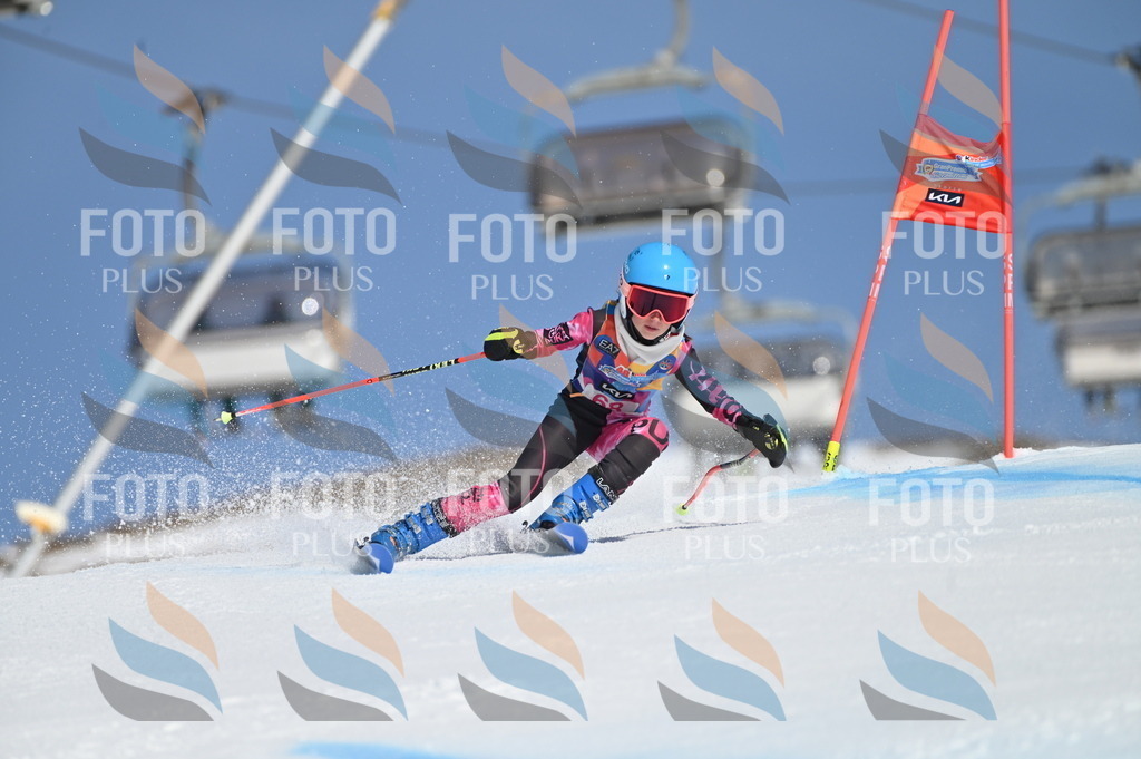 BGV_8863 | holidayphoto