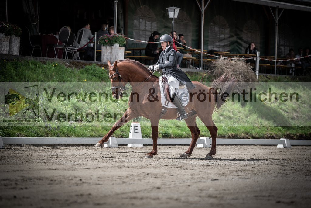 DSC_2610 | equestrian-live-com