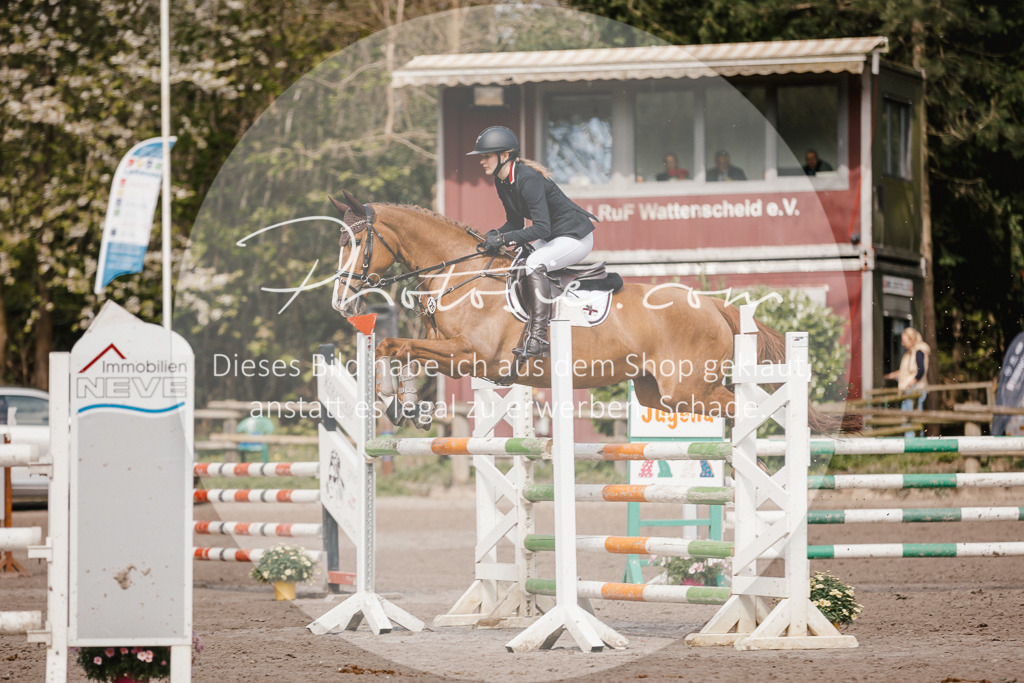 3I6A4332 | Stimmungsvolle Portraits und Reitsportfotografie im Ruhrgebiet und im Münsterland.

Pferdefotografie, Hundefotografie, Tierfotografie, Reportagen, Portraits von Tier und Mensch, Turnierfotografie in Bochum, Recklinghausen, Marl, Haltern am See, Dülmen.. - Realisiert mit Pictrs.com