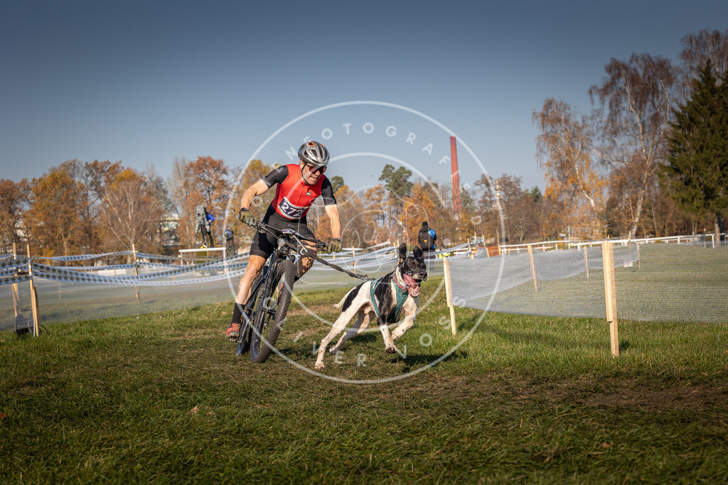 CaniXpix_0L8A6004 | Hundefotografie, Tierfotograf, Pfotenfotografie, Fotoshooting Hund, Hunde Portrait, Hundesport, Hundeportraits, Heideshooting, Hunde, Sportfotograf, Hundefotograf, Turnierhundsport, THS,  - Realisiert mit Pictrs.com