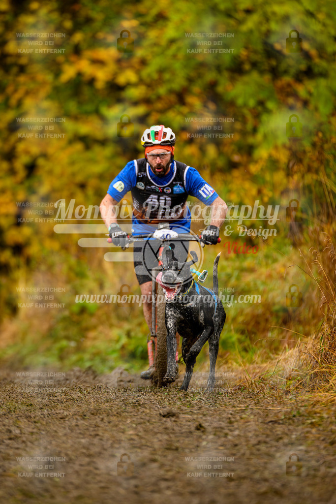 MompixPhotography_ICF_WC_2024_SA_DS_-77 | PayLife
