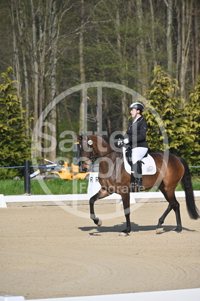 DSC_9964 | sattelsport - Realisiert mit Pictrs.com