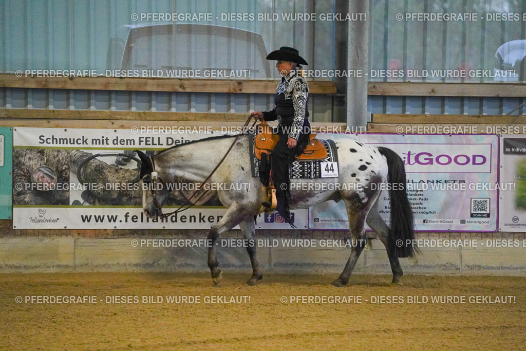 DSC08352 | Pferdegrafie