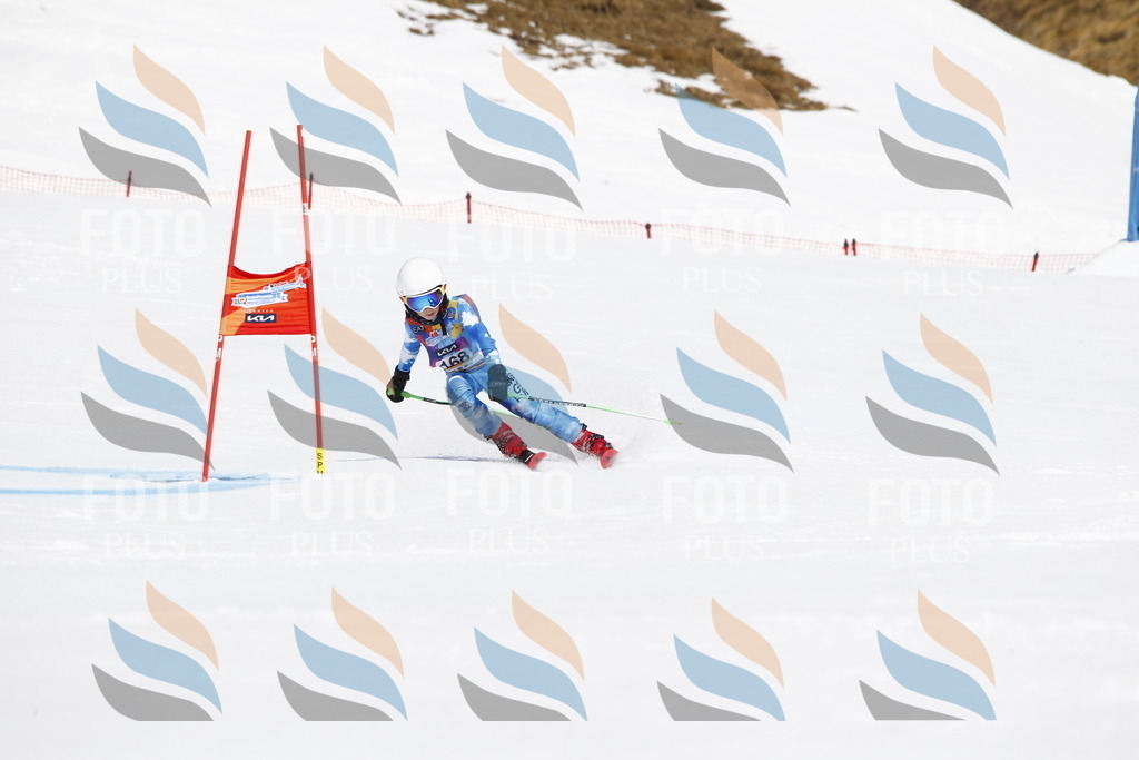 _U3G4488 | holidayphoto