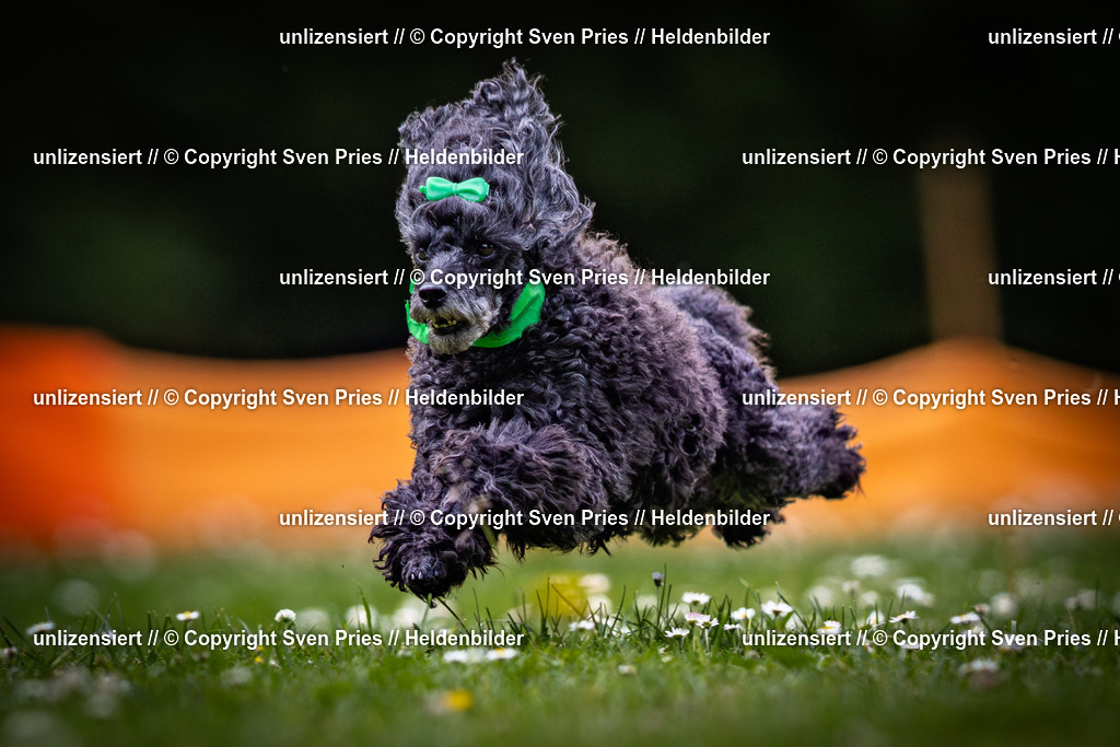 Sven Pries | 2025-05-29 - Pudelrennen KA-Durlach - Realisiert mit Pictrs.com