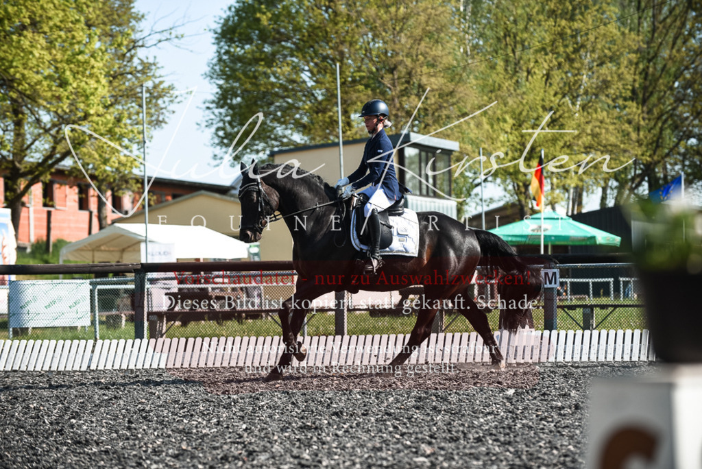DSC_8579 | Pferde- und Turnierfotografie in Westsachsen. Pferdeportraits, Auftragszeichnungen und intuitive Kunst.
