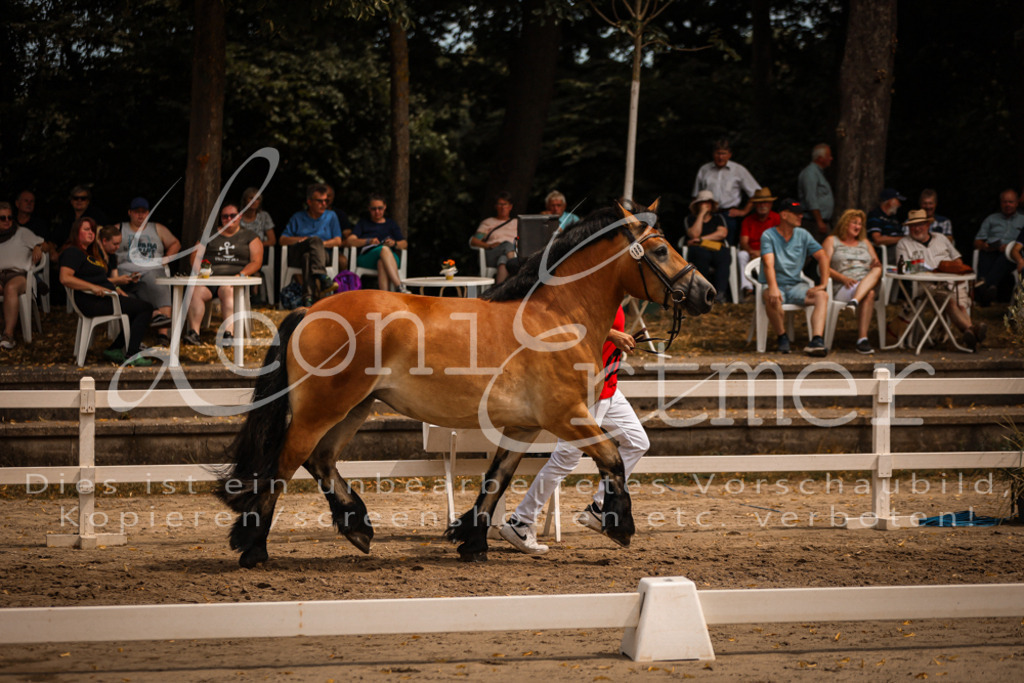 3.Sa00024 | Leoni Ertmer Photography - Realisiert mit Pictrs.com