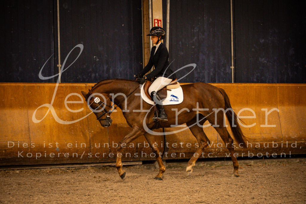 2Reiten00271 | Leoni Ertmer Photography - Realisiert mit Pictrs.com