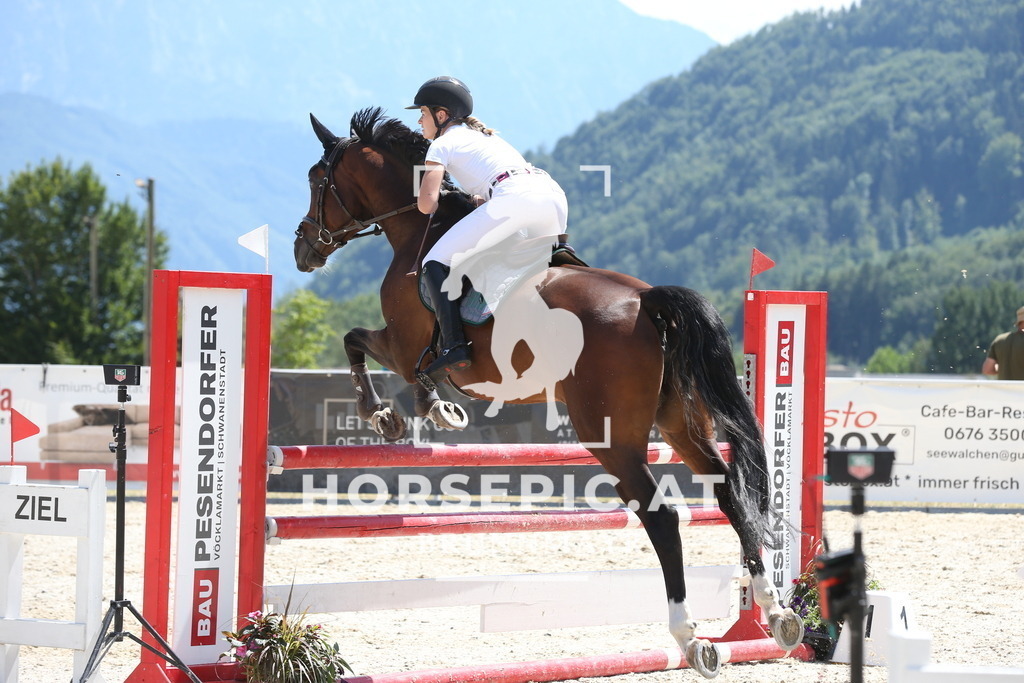 PP017776 | Willkommen bei Brunnmayr - Design & Fotografie – Ihrem Spezialisten für Reitturniere und Pferdeveranstaltungen in Oberösterreich, Salzburg und Bayern! Seit über 17 Jahren sind wir leidenschaftlich dabei.