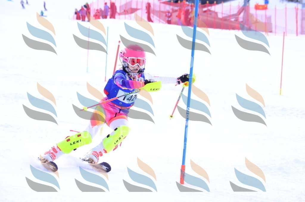 B1850 | holidayphoto