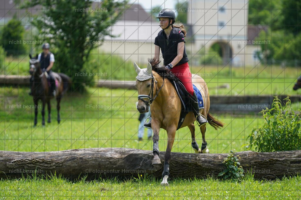 20240622-FAH07456 | Turnierfotografen Bayern, Reitsportbilder aus dem Geländekurs mit Felix Etzel auf dem Gut Waitzacker 2024