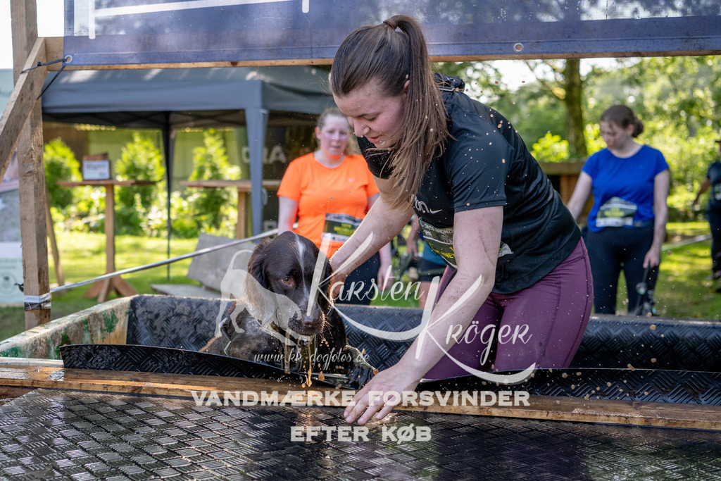 1542_ZZ92945 | kk-dogfotos