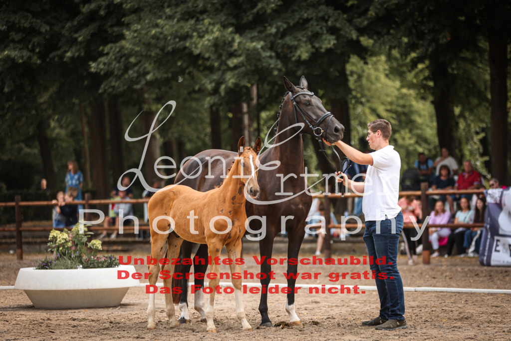 SaFohlen00175 | Leoni Ertmer Photography - Realisiert mit Pictrs.com