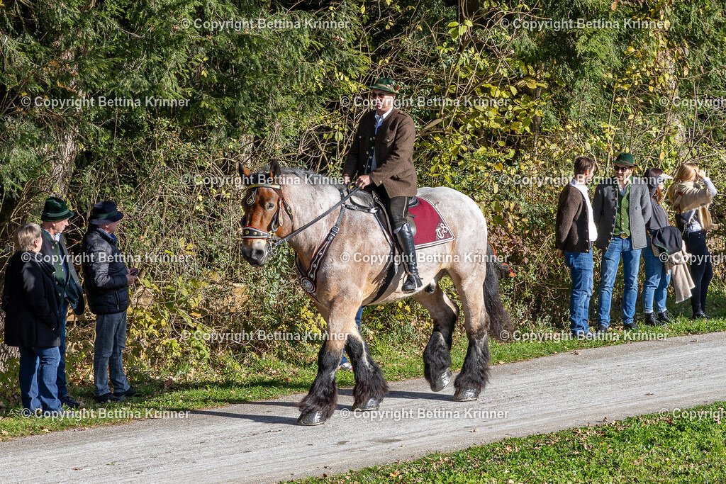 LBT24-801 | foto-bettina-krinner - Realisiert mit Pictrs.com