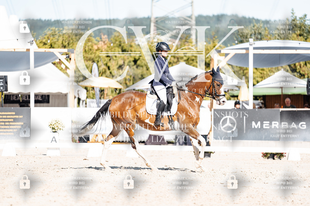 CK908185 | Turnierfotografie Pferdefotografie Trier Rheinland-Pfalz Pferdesport Reitsport Tierfotografie Sportfotografie Pferdevideo Pferdevideografie Equestrianvideography equestrianphotography  - Realisiert mit Pictrs.com