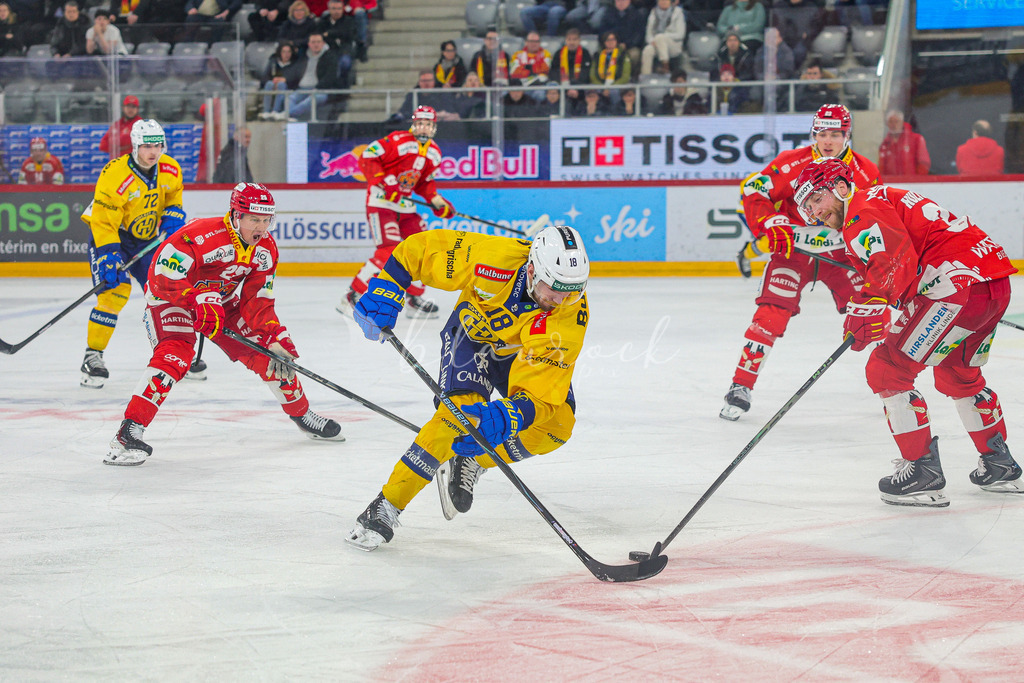 EHCB vs HCD 20260106_wb-0445 | Sportbilder, Sportfotograf, Hochzeits- und Eventfotografin, Flugshows, Portraits und Tiershooting, Aviation, Downhill, Nationalleague, Swissleague, International