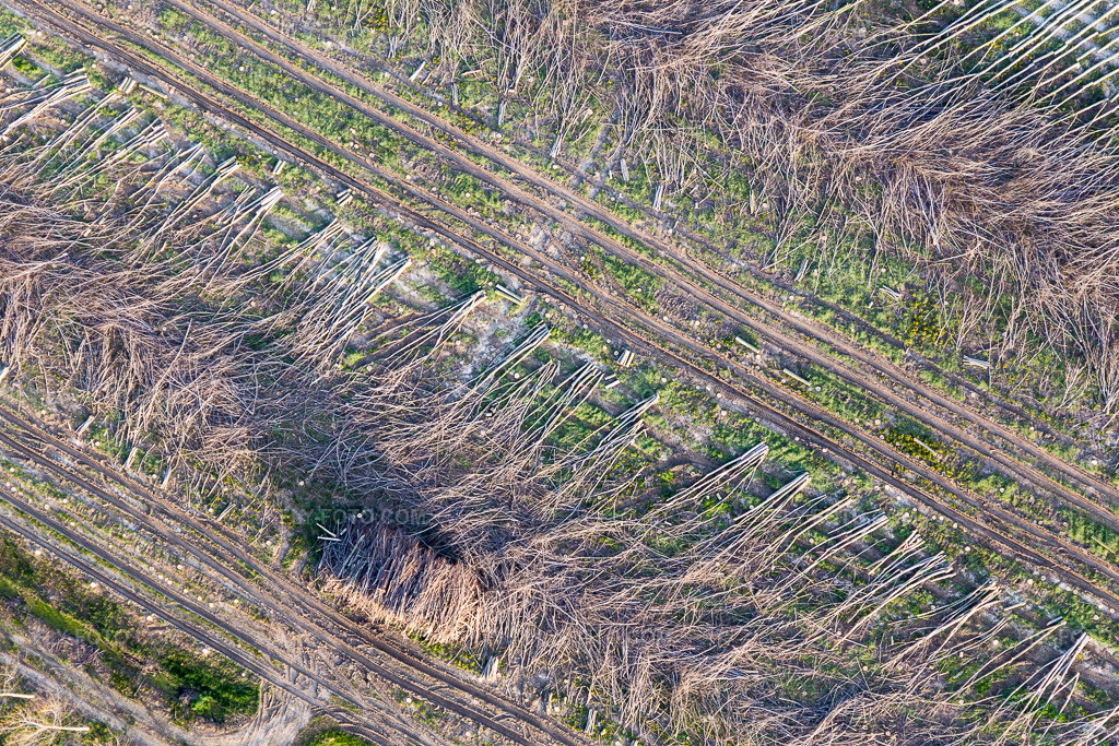 Aerial view: View of the town in Via Nazionale in the state Friuli Venezia Giulia, Italy. – Photo: IMG_105823.jpg taken on 04/08/2018 by Werner Riehm/FLY-FOTO.com – Resolution of the original: 5472 x 3648 px