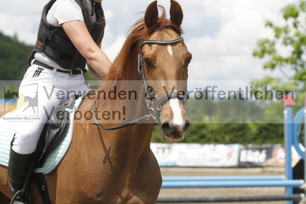 _MG_5174 | equestrian-live-com