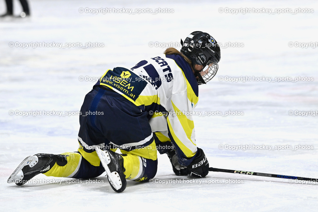 Wildcats Paternion vs. Lady Hawks  | #23 Stuppnig Iris WILDCATS PATERNION, Wildcats Paternion vs. Lady Hawks , Wildcats Paternion vs. Lady Hawks  am 27.01.2025 in Spittal an der Drau (Eissportzentrum Spittal), Austria, (Photo by Bernd Stefan)