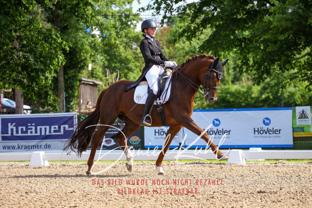DKP41419 | Deine Turnierfotos vom Reitturnier online kaufen: Dressur, Springen & Siegerehrung. Professionelle Pferdefotografie aus dem Rheinland – als Download & Print.Alternative: Turnierfotograf für den Pferdesport: Finde deine Fotos von Dressur- und Springturnier