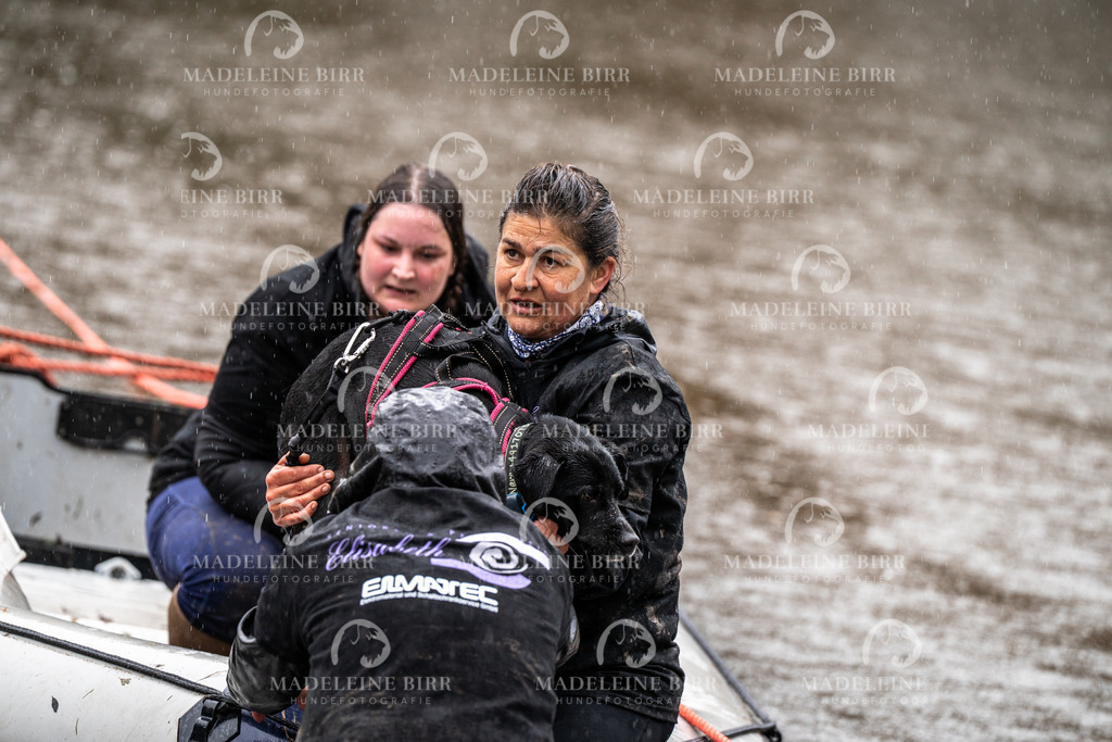madeleinebirr-fotografie2025.campcanis.11-12Uhr-243 | hundefotografie-birr