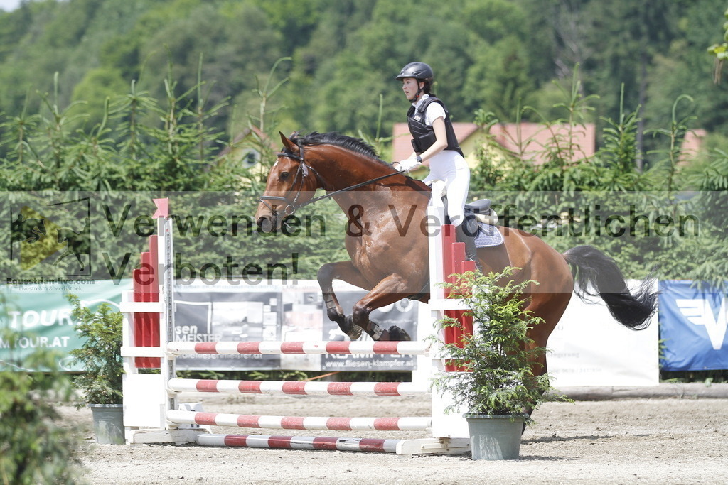 _MG_5401 | equestrian-live-com