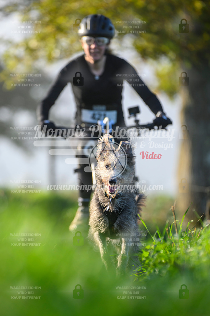 MompixPhotography_20TSB_E3_Bike-185 | PayLife