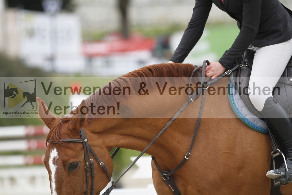 _MG_2829 | equestrian-live-com