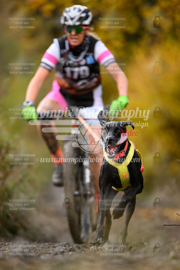 MompixPhotography_ICF_WC_2024_SA_Bike_-264 | PayLife